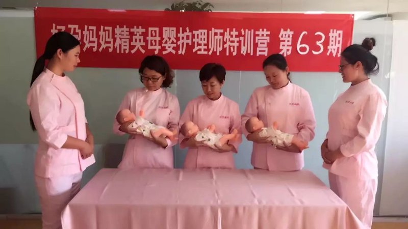 轻松生活背后的隐形守护者——保姆行业动态